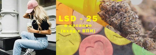 индика Елабуга