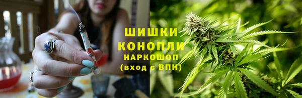 индика Елабуга