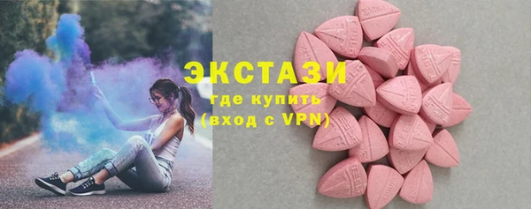 индика Елабуга
