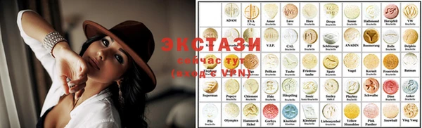 индика Елабуга