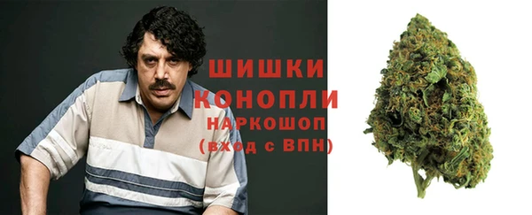индика Елабуга