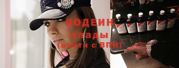 индика Елабуга