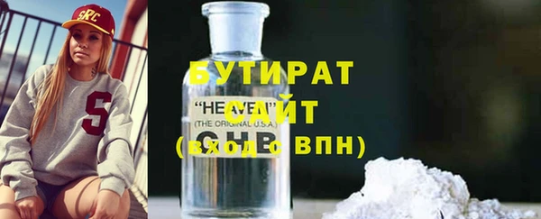 индика Елабуга