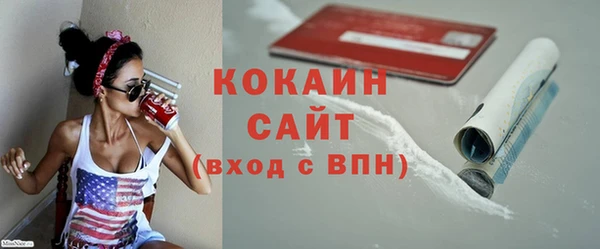 индика Елабуга