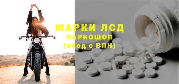 индика Елабуга