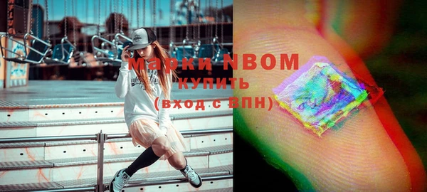 индика Елабуга
