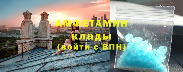 индика Елабуга