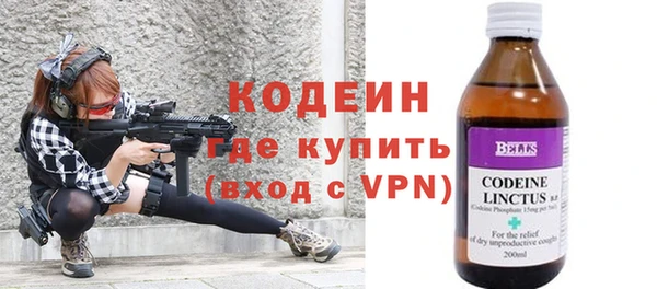индика Елабуга