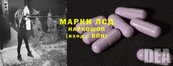индика Елабуга
