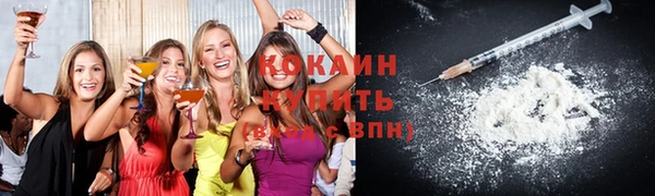 мдпв Елизово