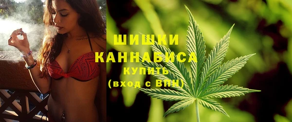 индика Елабуга