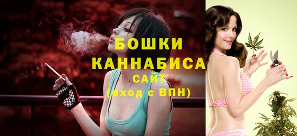 индика Елабуга