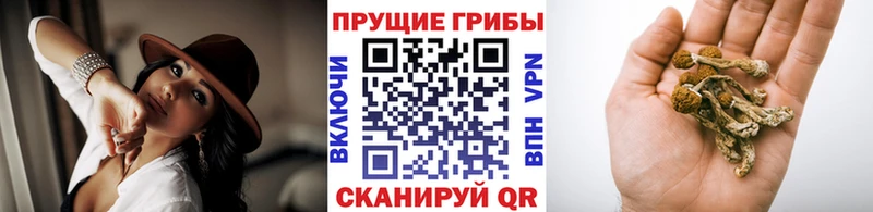 Галлюциногенные грибы прущие грибы  ОМГ ОМГ рабочий сайт  Полтавская 