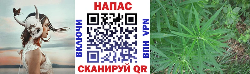 Шишки марихуана ГИДРОПОН  Полтавская 